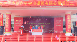 河南新鄉華宇成立二十周年慶典